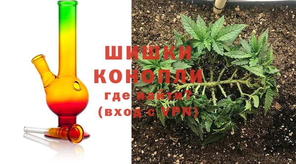 ГАЛЛЮЦИНОГЕННЫЕ ГРИБЫ Балахна