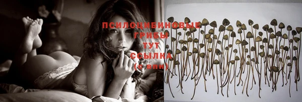 ГАЛЛЮЦИНОГЕННЫЕ ГРИБЫ Балахна