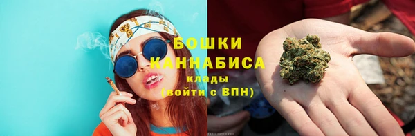 ГАЛЛЮЦИНОГЕННЫЕ ГРИБЫ Балахна