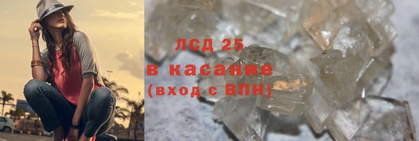 молекула духа Арсеньев