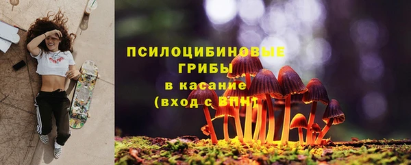 ГАЛЛЮЦИНОГЕННЫЕ ГРИБЫ Балахна