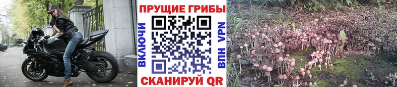 Псилоцибиновые грибы Magic Shrooms  ОМГ ОМГ ТОР  Славск 