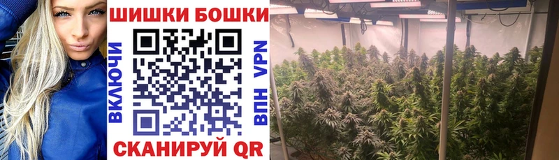 Канабис индика Славск